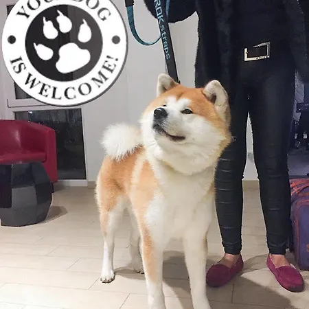 Rossovino 3*